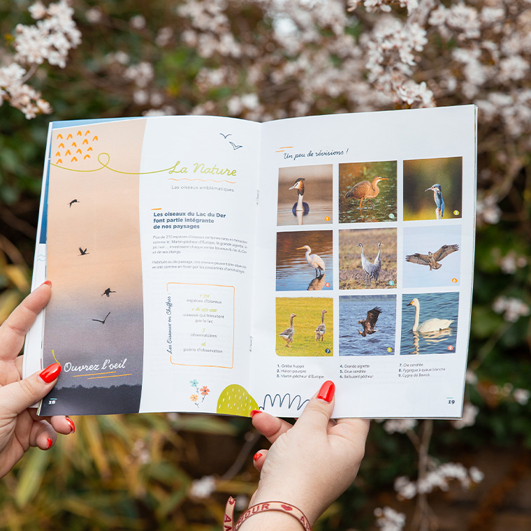 Guide Découverte du Lac du Der en Champagne