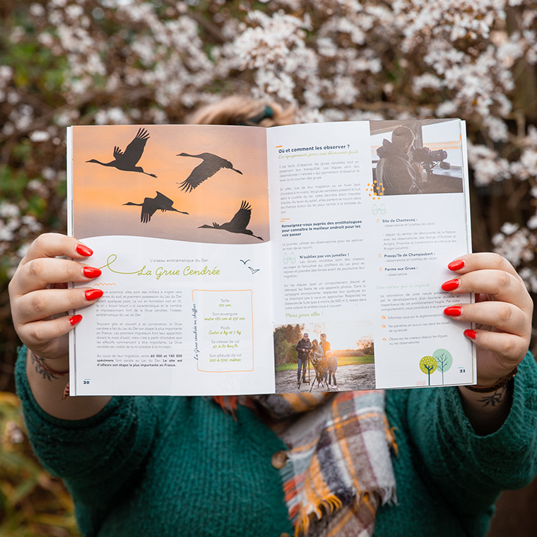 Guide Découverte du Lac du Der en Champagne